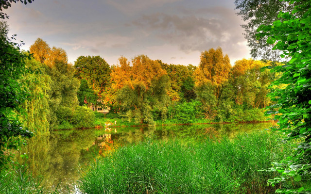 Lake trees grass clouds autumn #2 free wallpaper - medium preview image