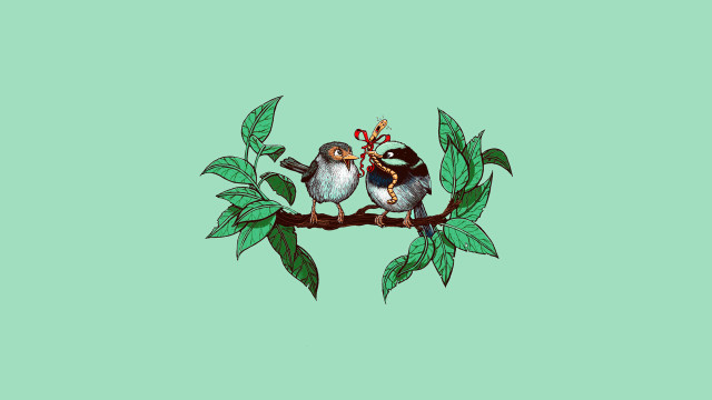 Birds branch leaves bow storybook free wallpaper - medium preview image