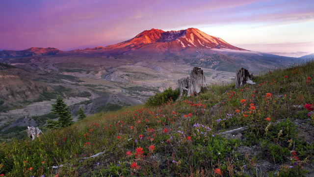 Mountain sunset flower river forest free wallpaper - medium preview image