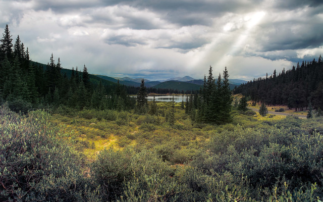 Lake forest bushes cloudy sky free wallpaper - medium preview image