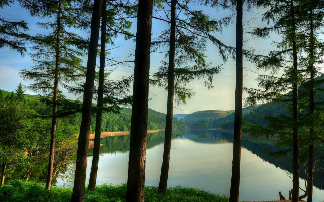 Lake forest bamboo mountain sunset free wallpaper - medium preview image