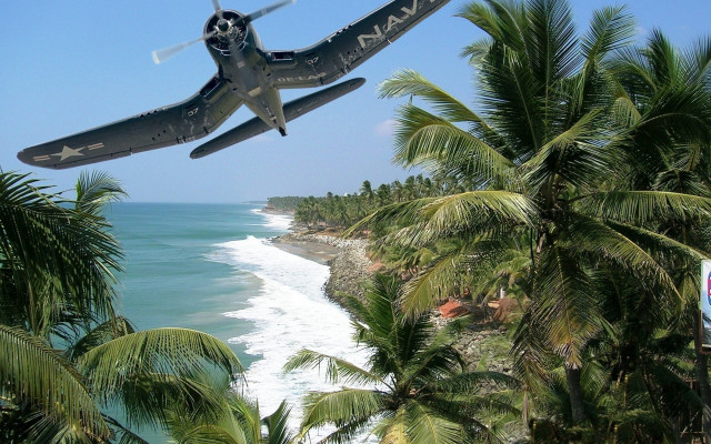Plane beach palm ocean matte free wallpaper - medium preview image