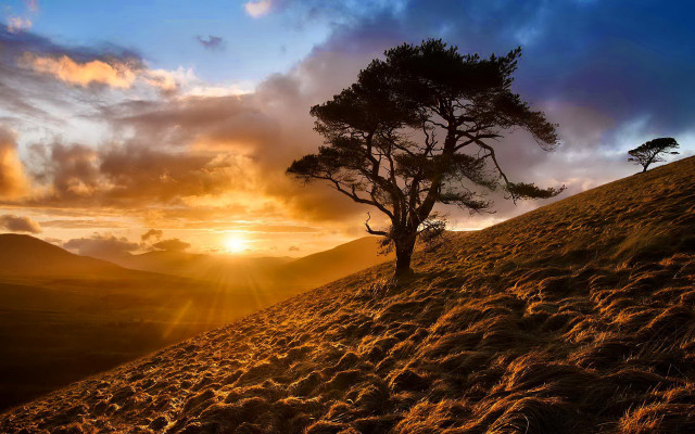 Hill sunset tree clouds landscape #2 free wallpaper - medium preview image