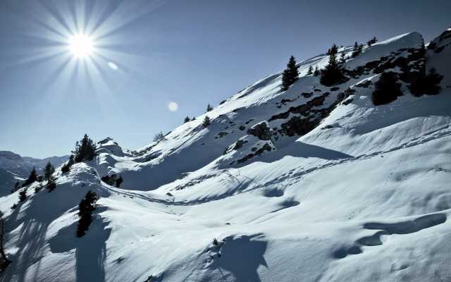 Sunlit snowy mountain trees blue free wallpaper - medium preview image
