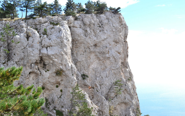 Large cliff tree blue sky free wallpaper - medium preview image