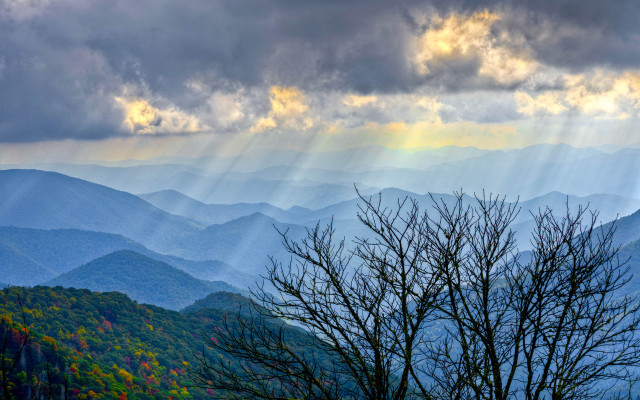 Bare tree mountain sunset cloudy free wallpaper - medium preview image