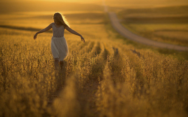 Woman white dress field sunset #4 free wallpaper - medium preview image