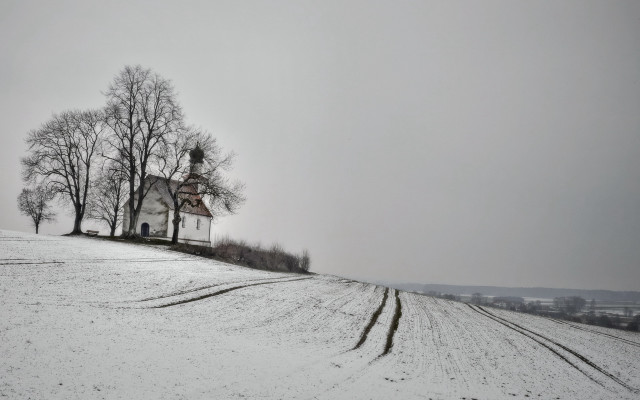 Snowy hill house forest branch free wallpaper - medium preview image
