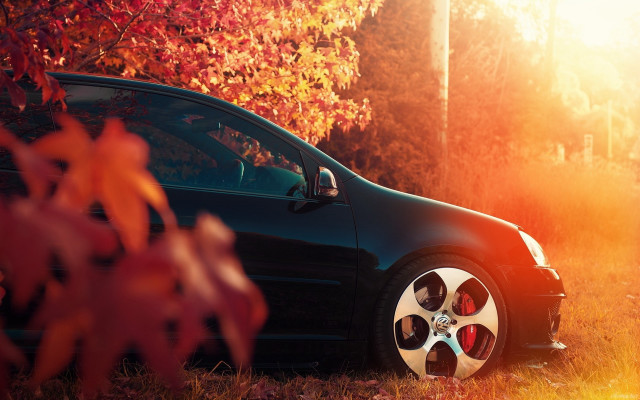 Car field trees autumn leaves free wallpaper - medium preview image