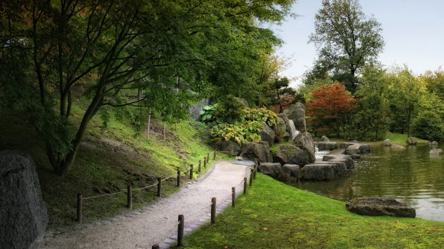 Park pond path bench trees free wallpaper - medium preview image