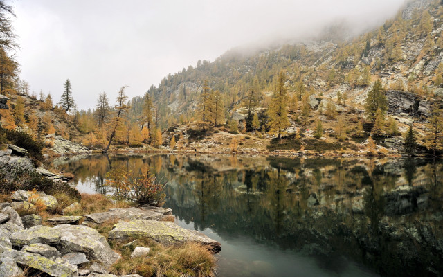 Lake rocks trees mountains fog free wallpaper - medium preview image