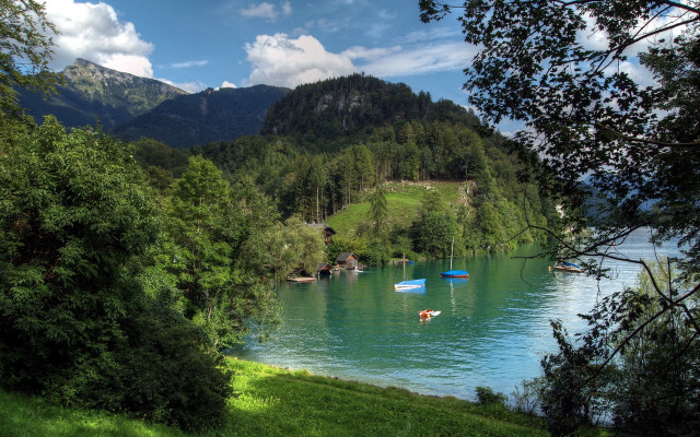 Lake mountains trees boats grassy free wallpaper - medium preview image