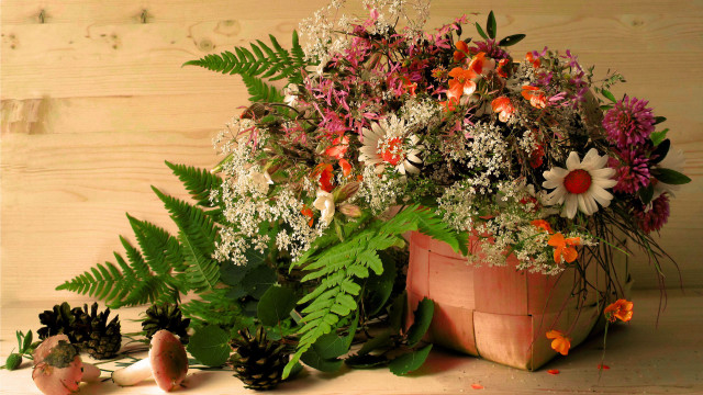 Potted plant flowers ferns still free wallpaper - medium preview image