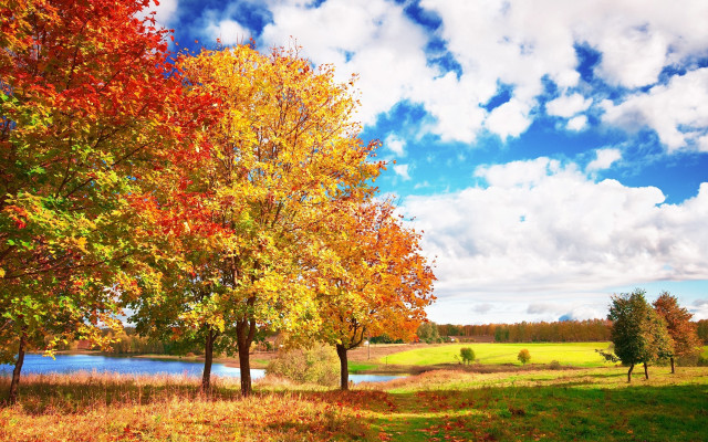 Autumn lake trees clouds sky #2 free wallpaper - medium preview image