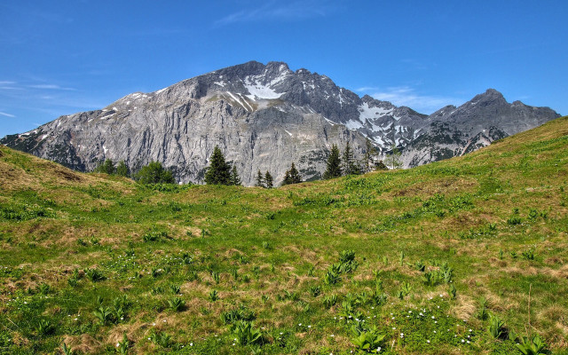 Mountain field trees snowsky cloud free wallpaper - medium preview image
