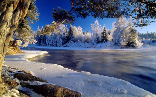 Lake snow covered trees ice free wallpaper - medium preview image