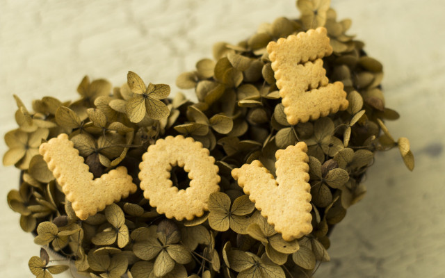 Plant cookies love leaves flower free wallpaper - medium preview image