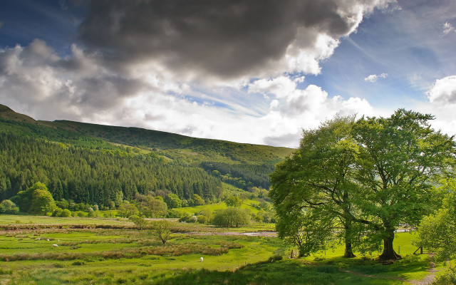 Green field tree mountain clouds #2 free wallpaper - medium preview image