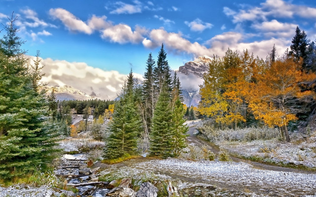 Forest stream rocks cloudy mountain free wallpaper - medium preview image