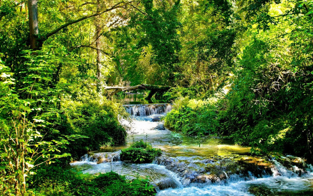 Lush forest stream bridge nature #2 free wallpaper - medium preview image