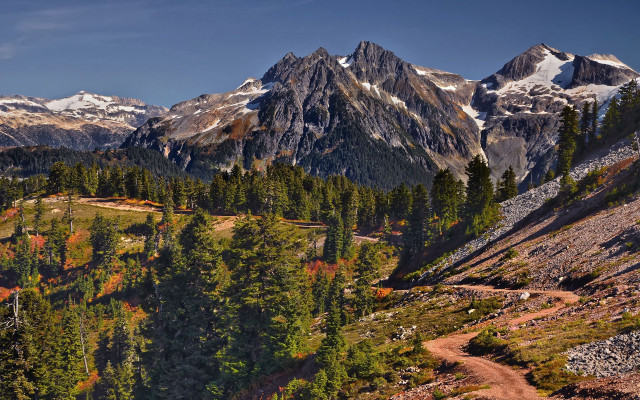 Mountain dirt road trees snow free wallpaper - medium preview image