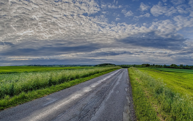 Dirt road green field cloudy #2 free wallpaper - medium preview image