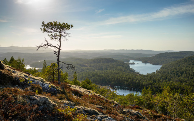 Lone tree hill lake mountains free wallpaper - medium preview image