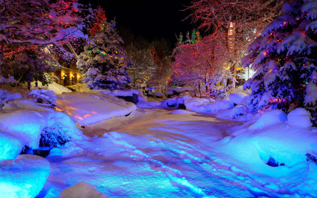 Snowy path lights trees night free wallpaper - medium preview image