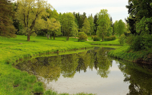 Small river forest bench nature free wallpaper - medium preview image