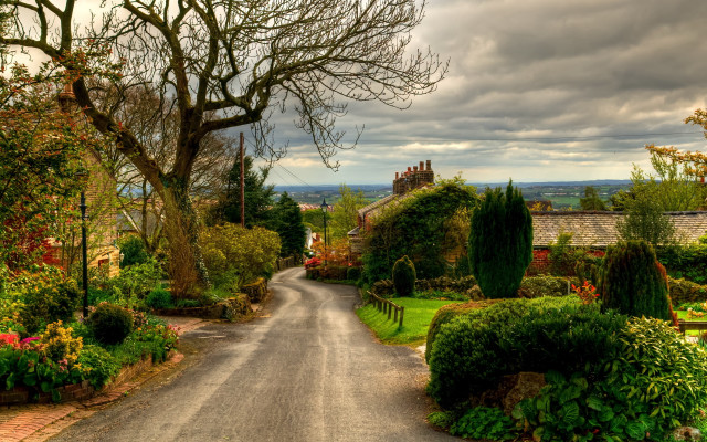 Road tree bushes house landscape free wallpaper - medium preview image