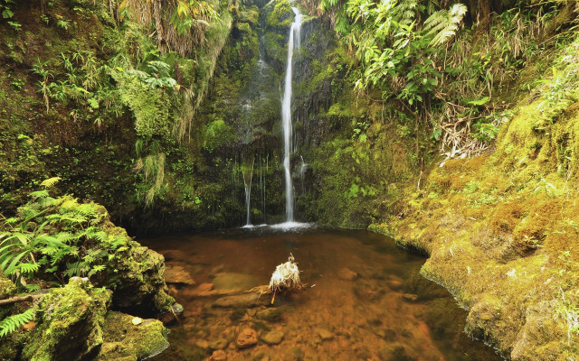 Jungle waterfall man horse ecological free wallpaper - medium preview image