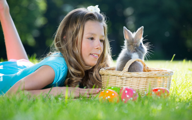 Girl basket bunny dandelion fireflies free wallpaper - medium preview image