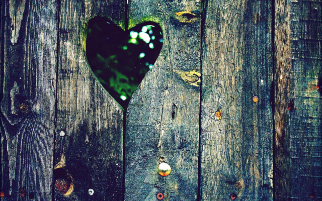 Heart fence love aurora city free wallpaper - medium preview image
