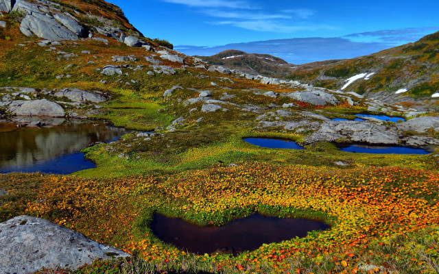 Mountain pond flowers ecological puzzle free wallpaper - medium preview image