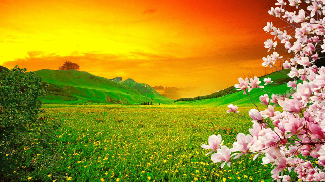 Sunset flower field mountains green free wallpaper - medium preview image