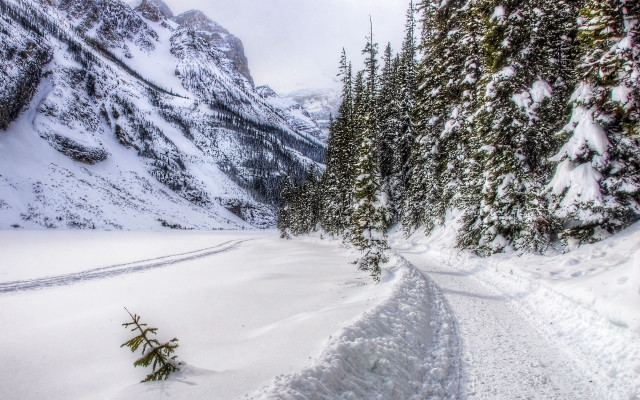 Snowy road mountain forest trail free wallpaper - medium preview image