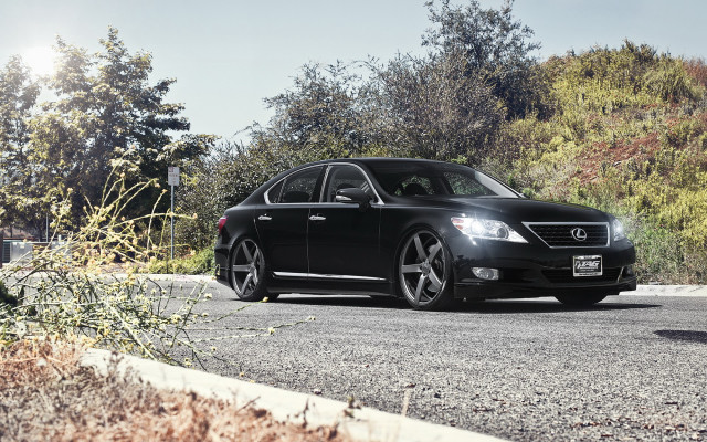 Black car forest road sunny #3 free wallpaper - medium preview image