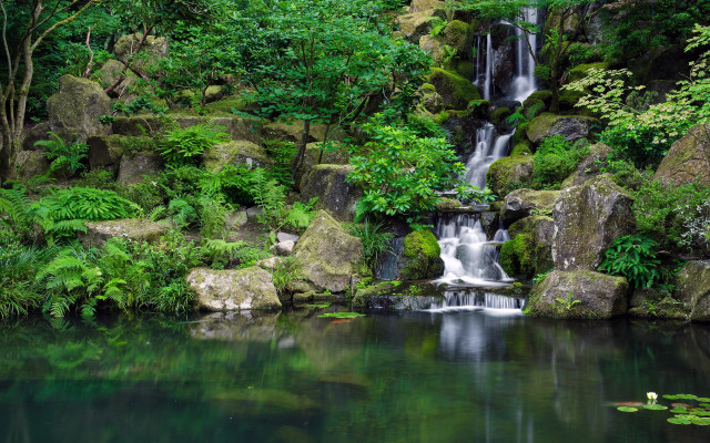 Waterfall forest lake lily person free wallpaper - medium preview image