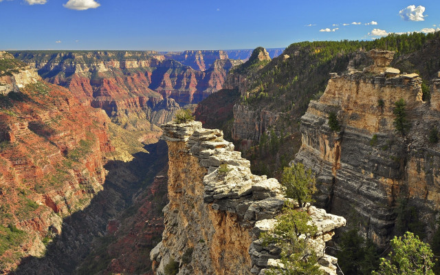 Canyon cliff trees blue sky free wallpaper - medium preview image
