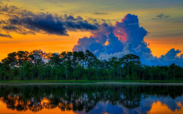 Sunset lake trees clouds dusk free wallpaper - medium preview image