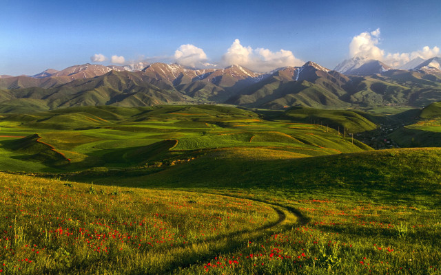 Green field dirt road mountains free wallpaper - medium preview image