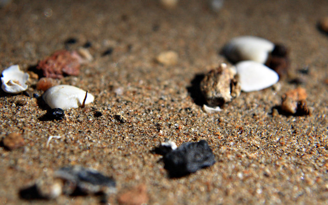 Rocks gravel autumn leaves macro free wallpaper - medium preview image