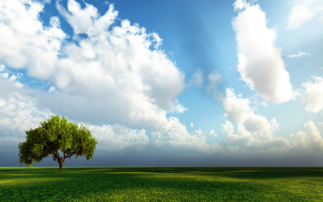 Lone tree green field cloudy #5 free wallpaper - medium preview image