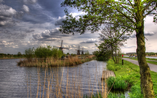 River windmill road tree ecological free wallpaper - medium preview image
