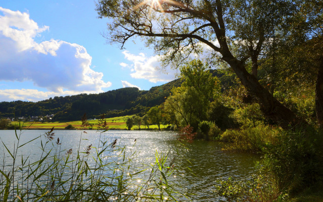 Lake trees grass sun hills free wallpaper - medium preview image