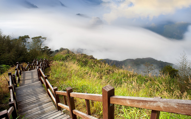 Wooden walkway lush green hillside free wallpaper - medium preview image