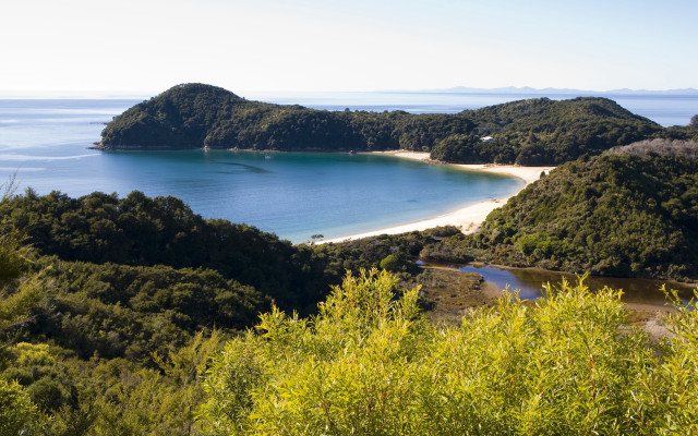 Beach hilltop trees panorama regionalism free wallpaper - medium preview image