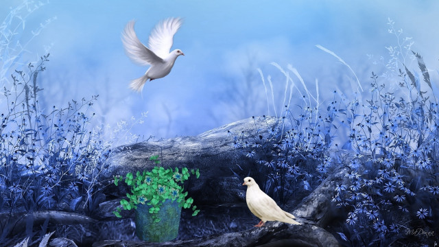 White bird over tree stump free wallpaper - medium preview image