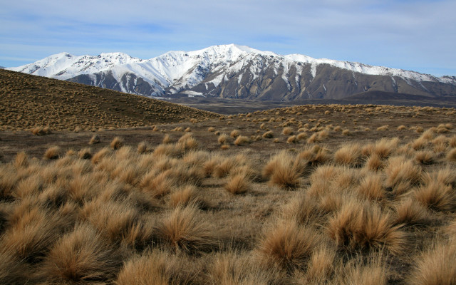 Field mountains bushes snow matte free wallpaper - medium preview image
