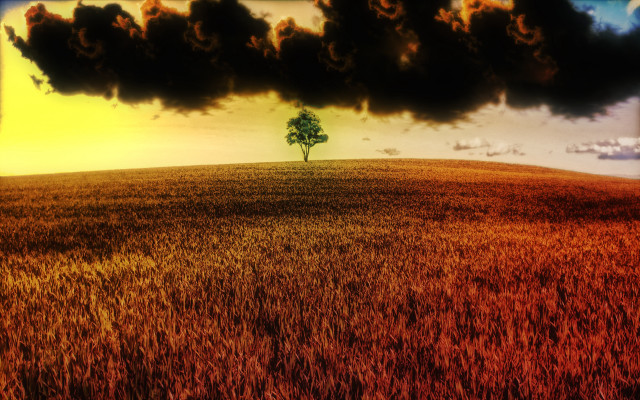 Lone tree yellow sky clouds free wallpaper - medium preview image